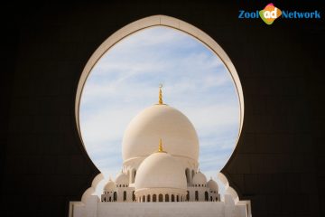 pexels-photo-18834091